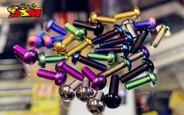 JSM Hobby Titanium Schrauben Set für ReveD RDX (8 colors)